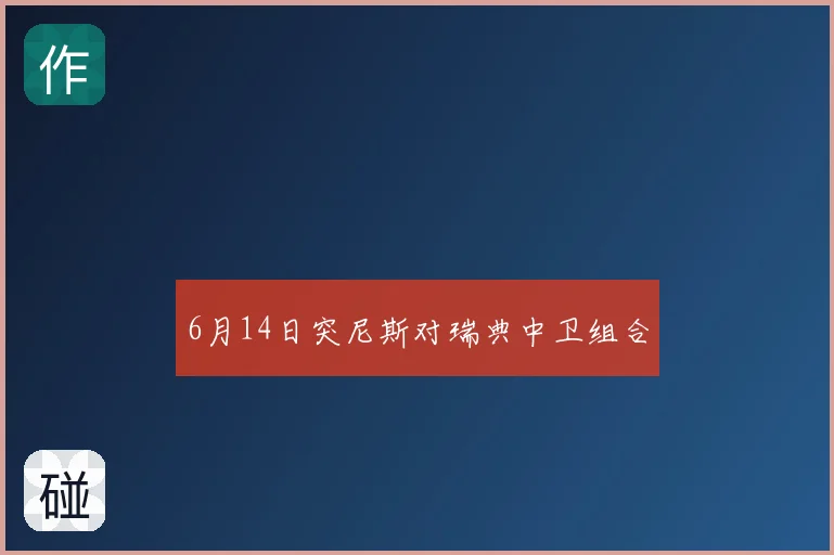 6月14日突尼斯对瑞典中卫组合